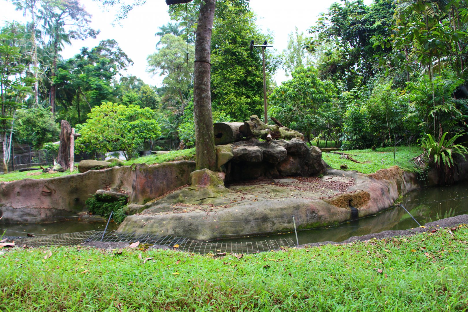 Night Safari in the day - Red Dhole exhibit (no animals)