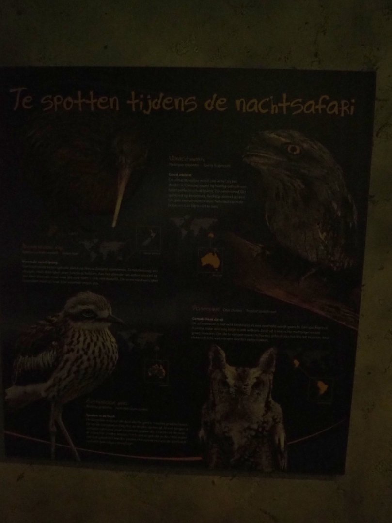 Night Safari species sign (Sep 2nd, 2018)