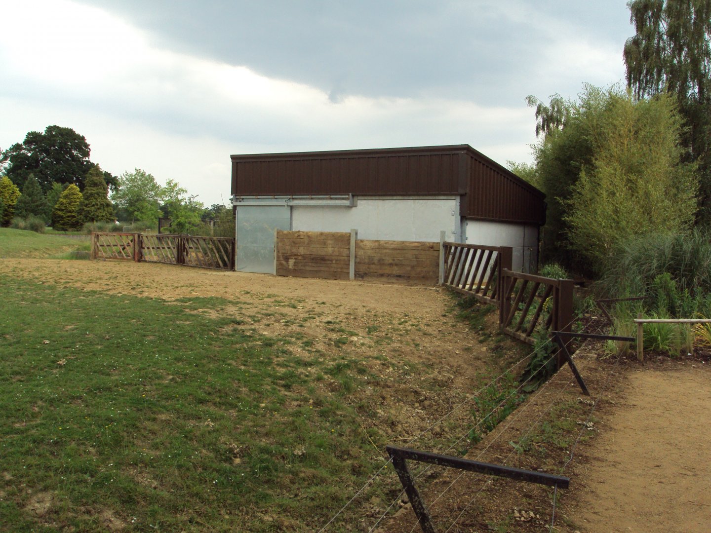 Night shelter for the male White Rhino 23/06/2019