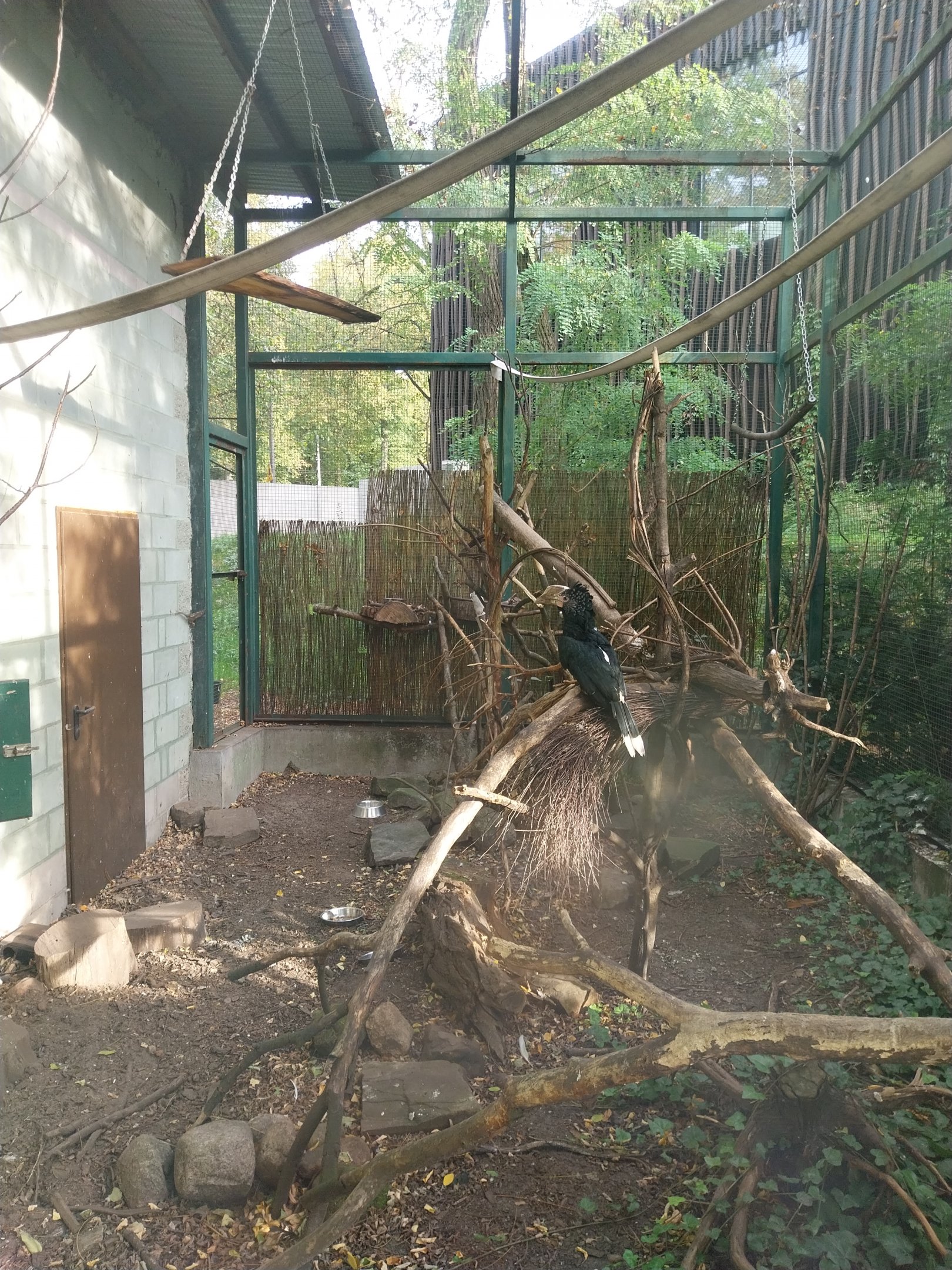 Night World - Mixed species aviary