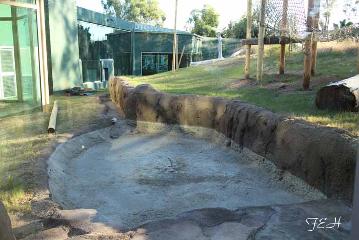 night zoo, Aug 10, 2013