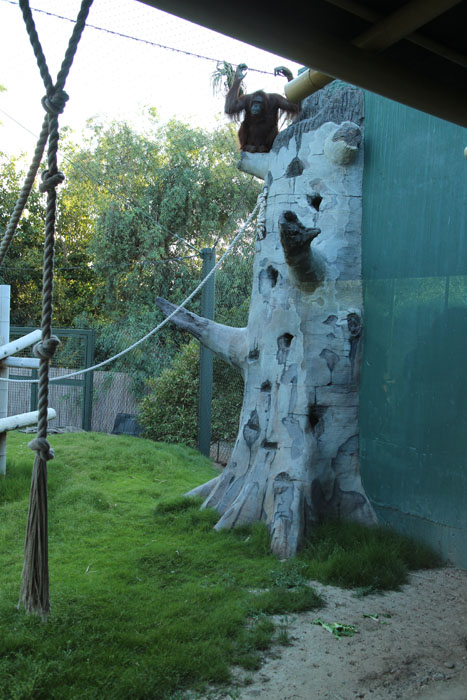 night zoo, Aug 10, 2013