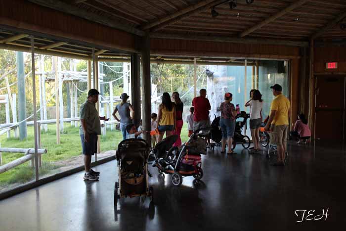 night zoo, Aug 10, 2013