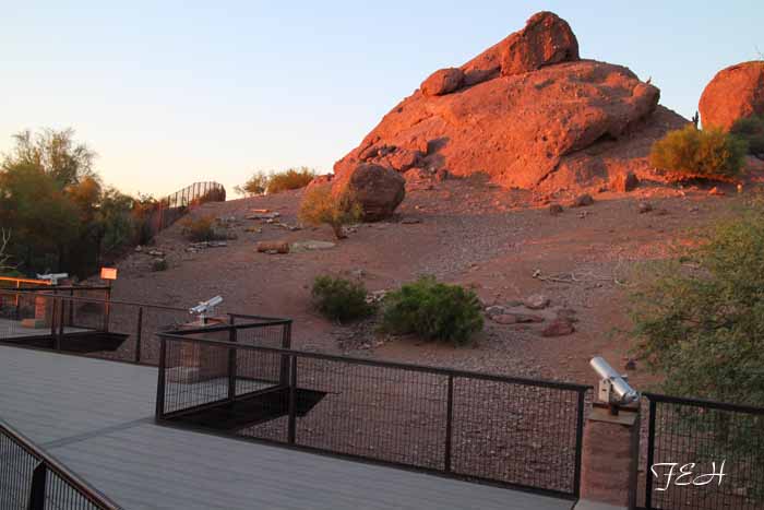 night zoo, Aug 10, 2013