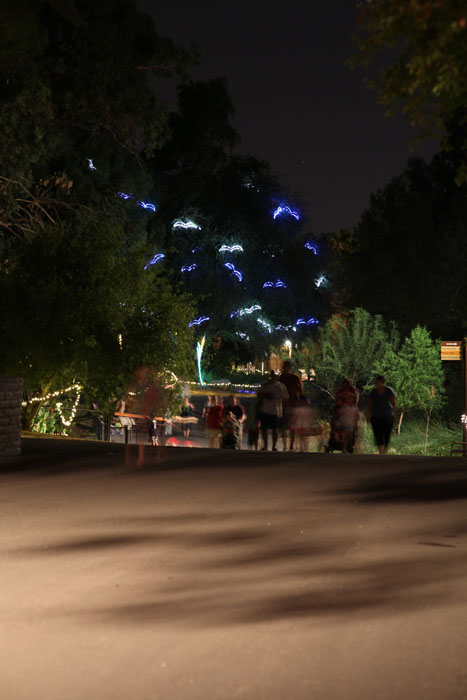 night zoo, Aug 10, 2013