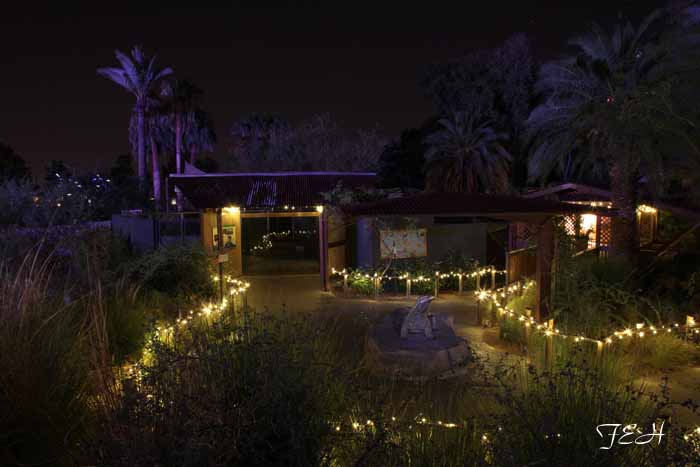 night zoo, Aug 10, 2013