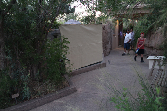 night zoo - Aug 30, 2014