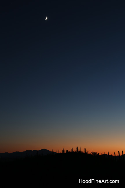 night zoo - Aug 30, 2014