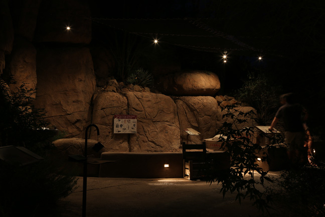 night zoo - Aug 30, 2014