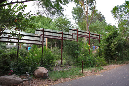 night zoo, august 11, 2012