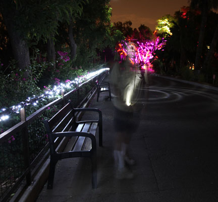 night zoo, august 11, 2012