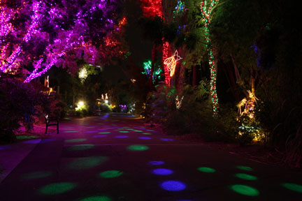 night zoo, august 11, 2012