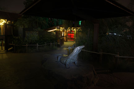 night zoo, august 11, 2012