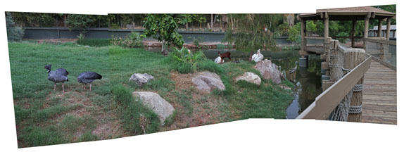 night zoo, august 11, 2012