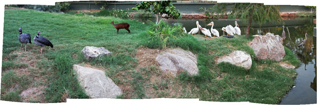 night zoo, august 11, 2012