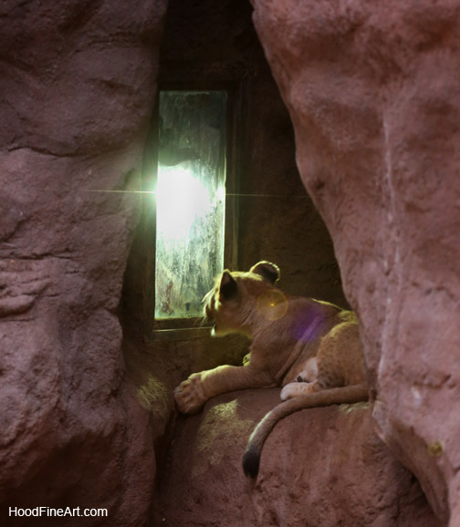 night zoo, july 11, 2014