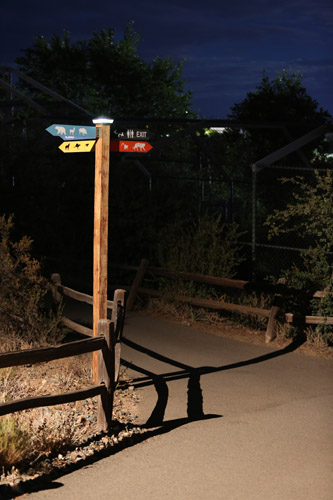 Night Zoo, July 19, 2016