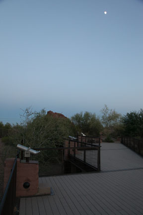 Night Zoo, June 11, 2011