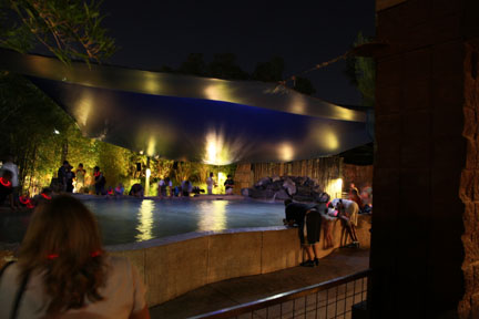 Night Zoo, June 11, 2011