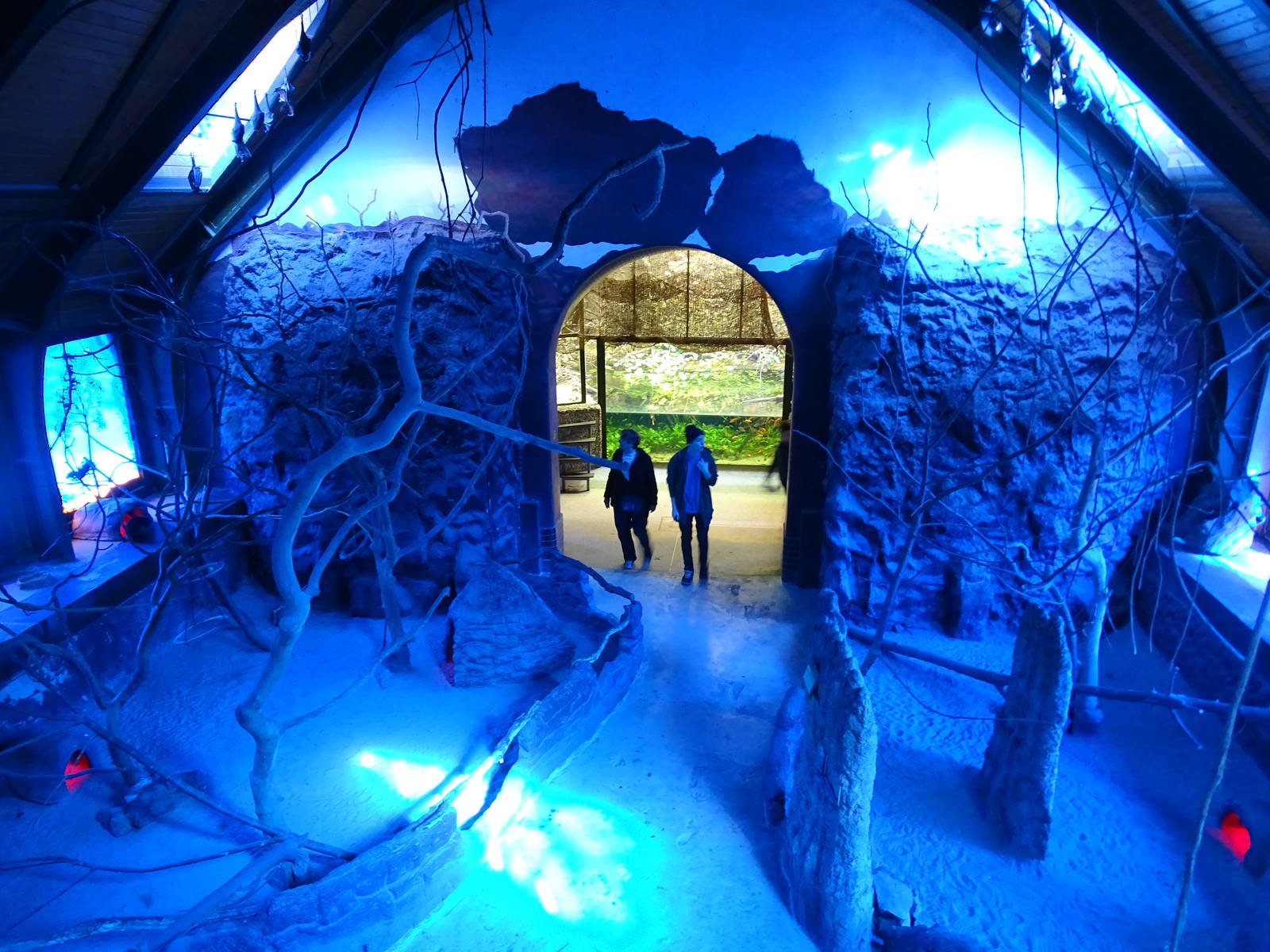 Nightlife walkthrough