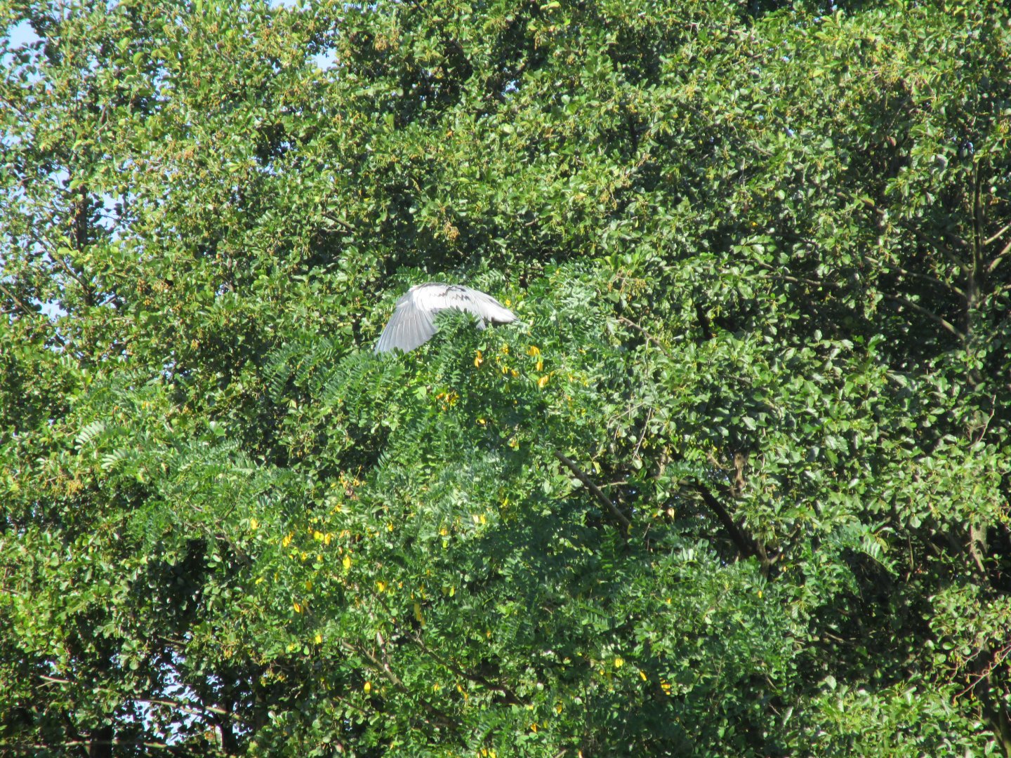 Nighttime.....daytime!