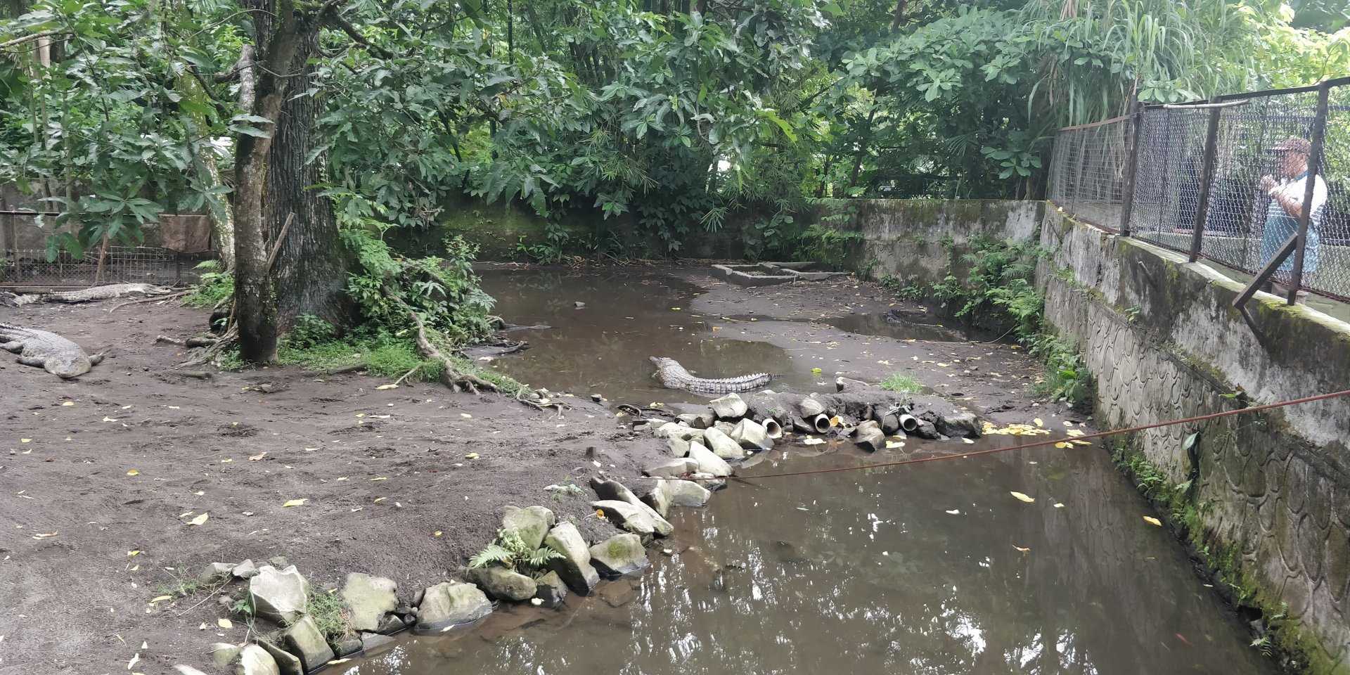 Nike croccodile enclosure