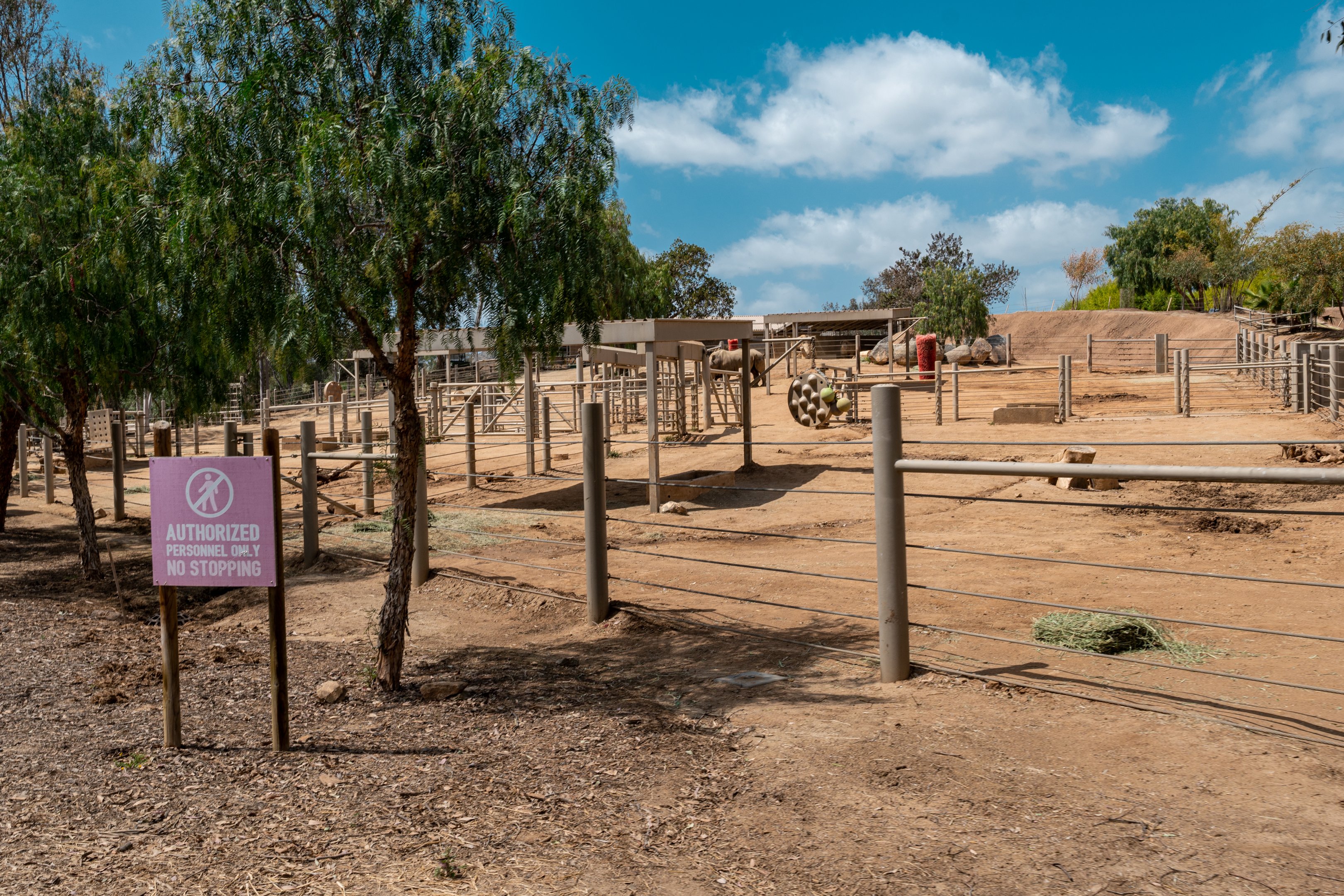 Nikita Kahn Rhino Rescue Center