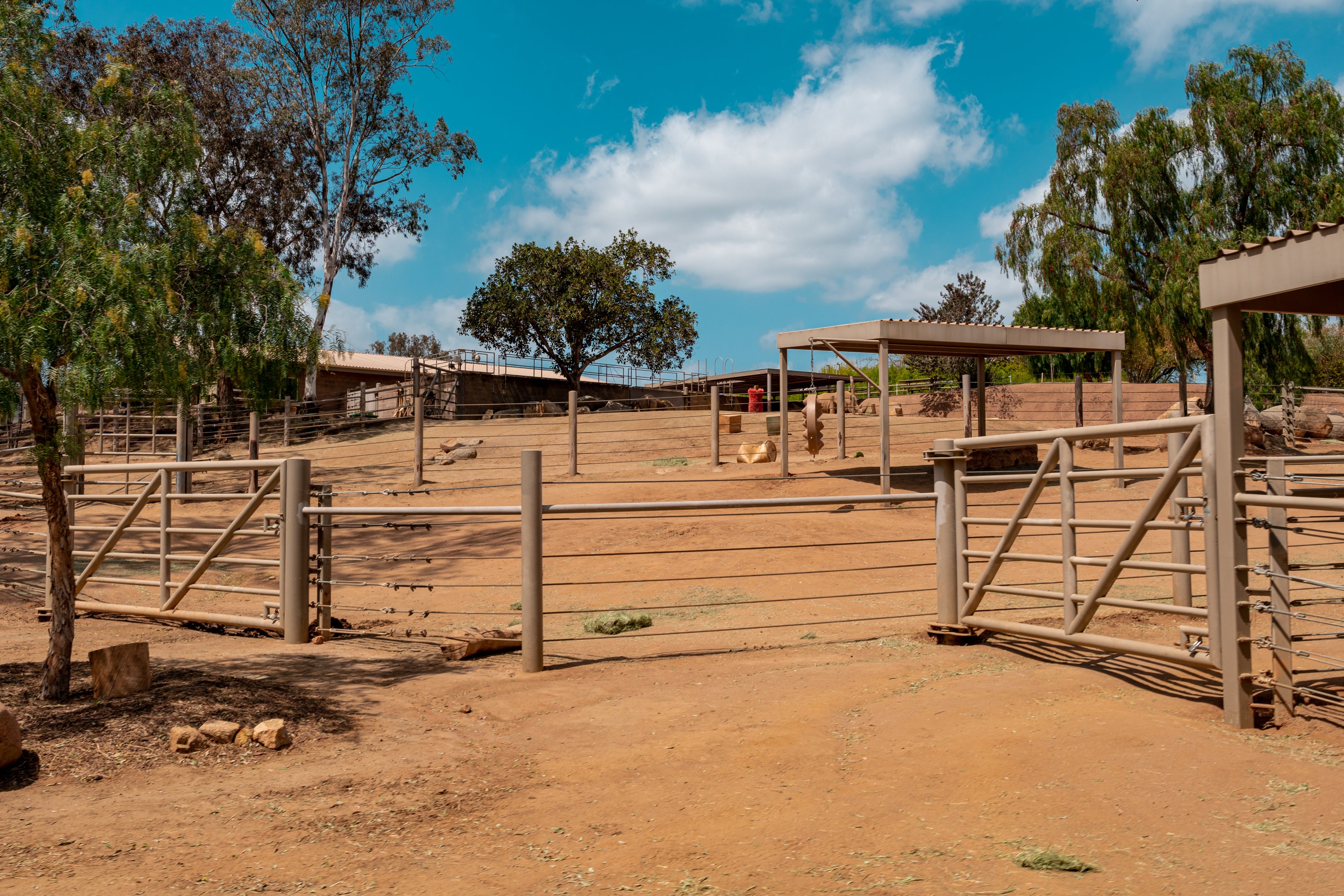 Nikita Kahn Rhino Rescue Center