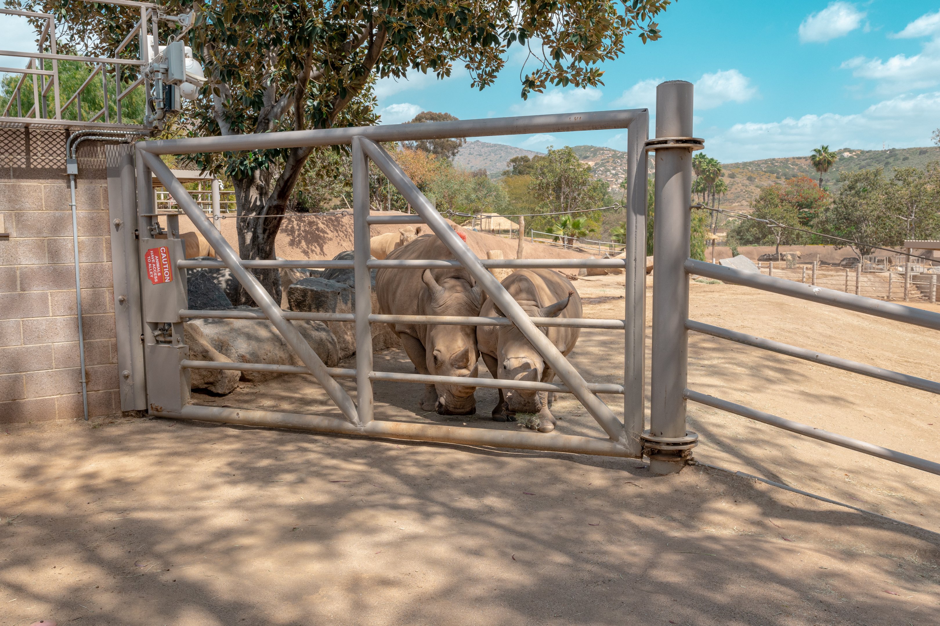 Nikita Kahn Rhino Rescue Center
