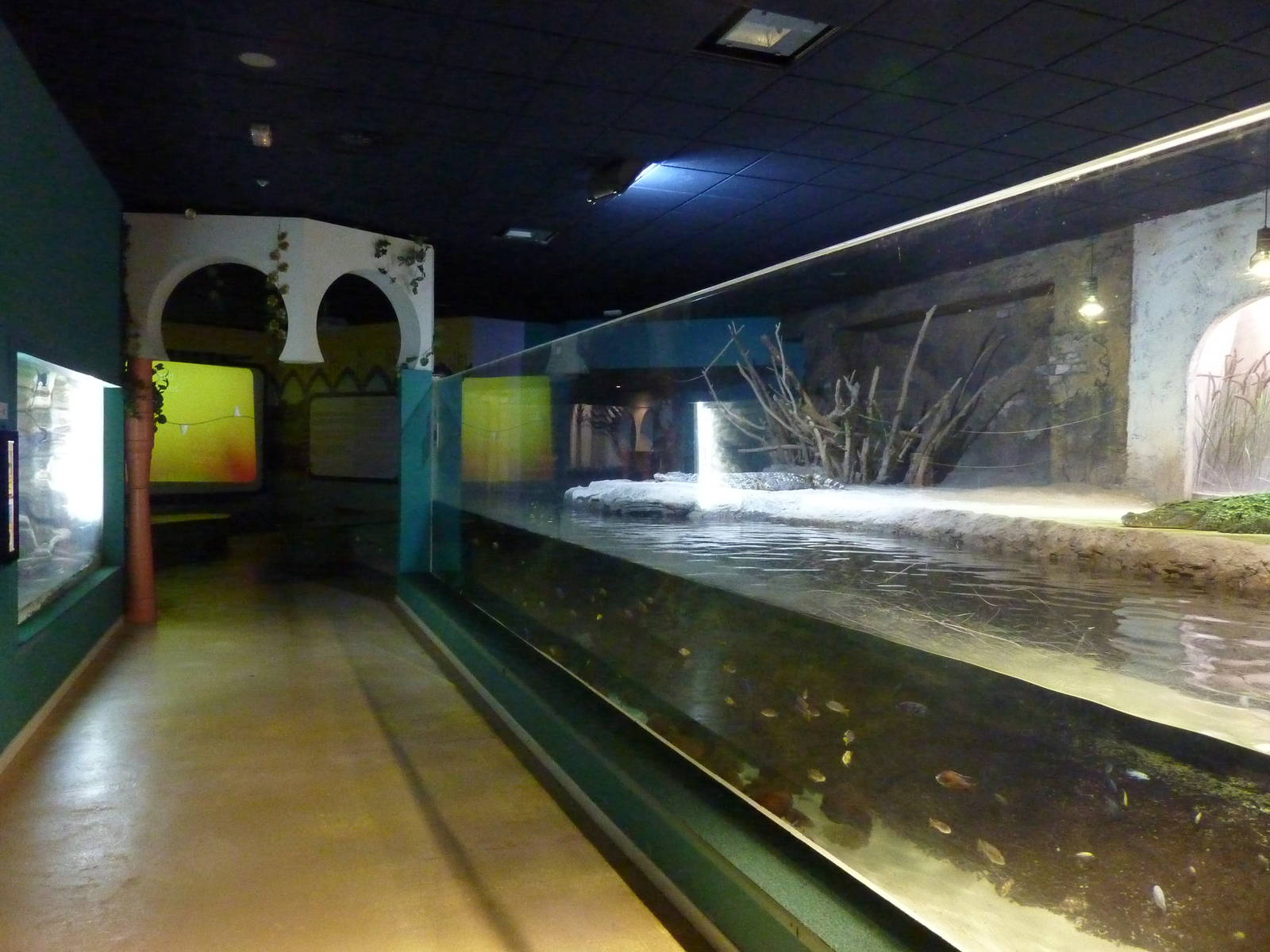 Nile area, 10th April 2012