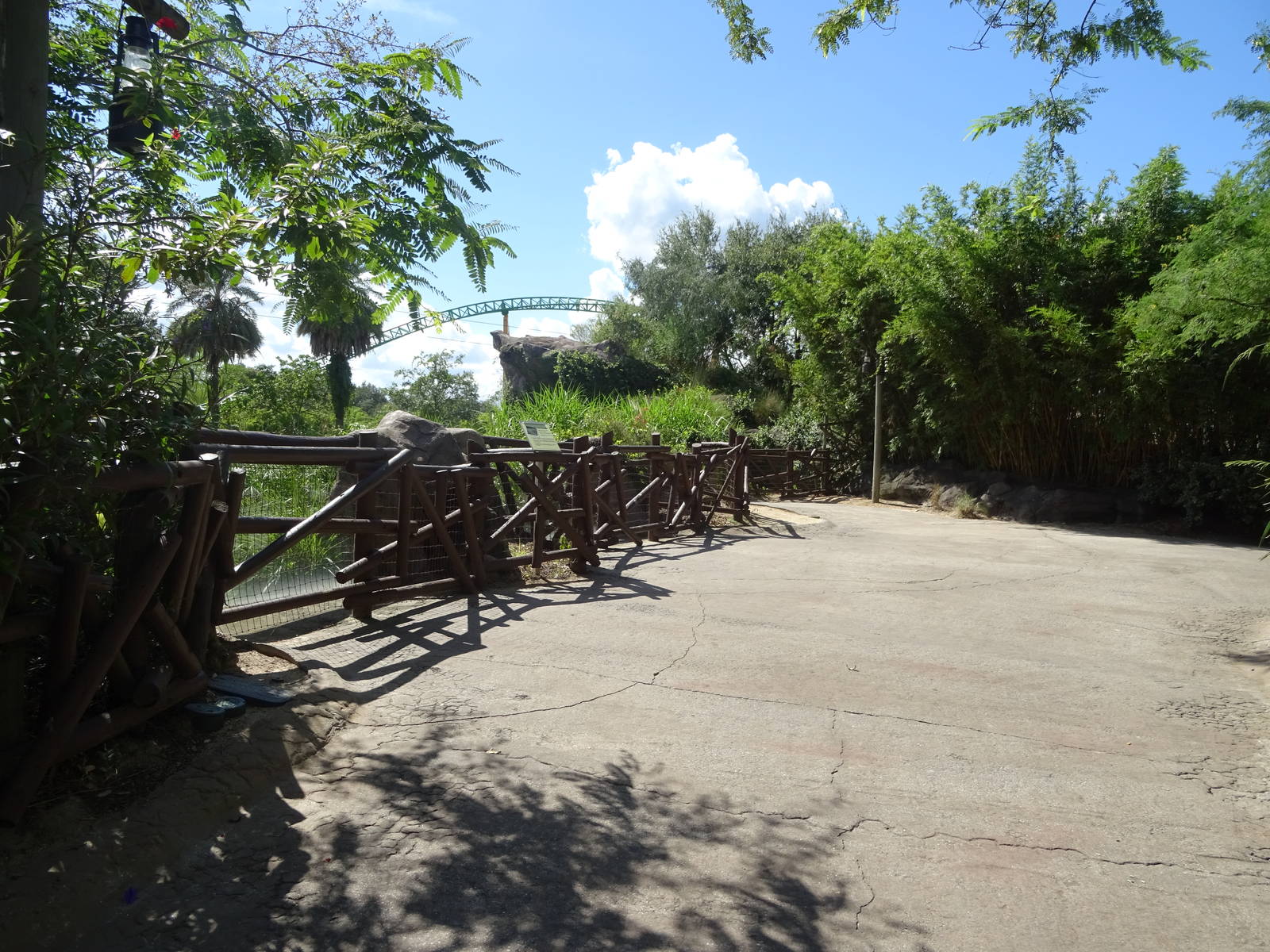 Nile Crocodile Above Water Viewing Area