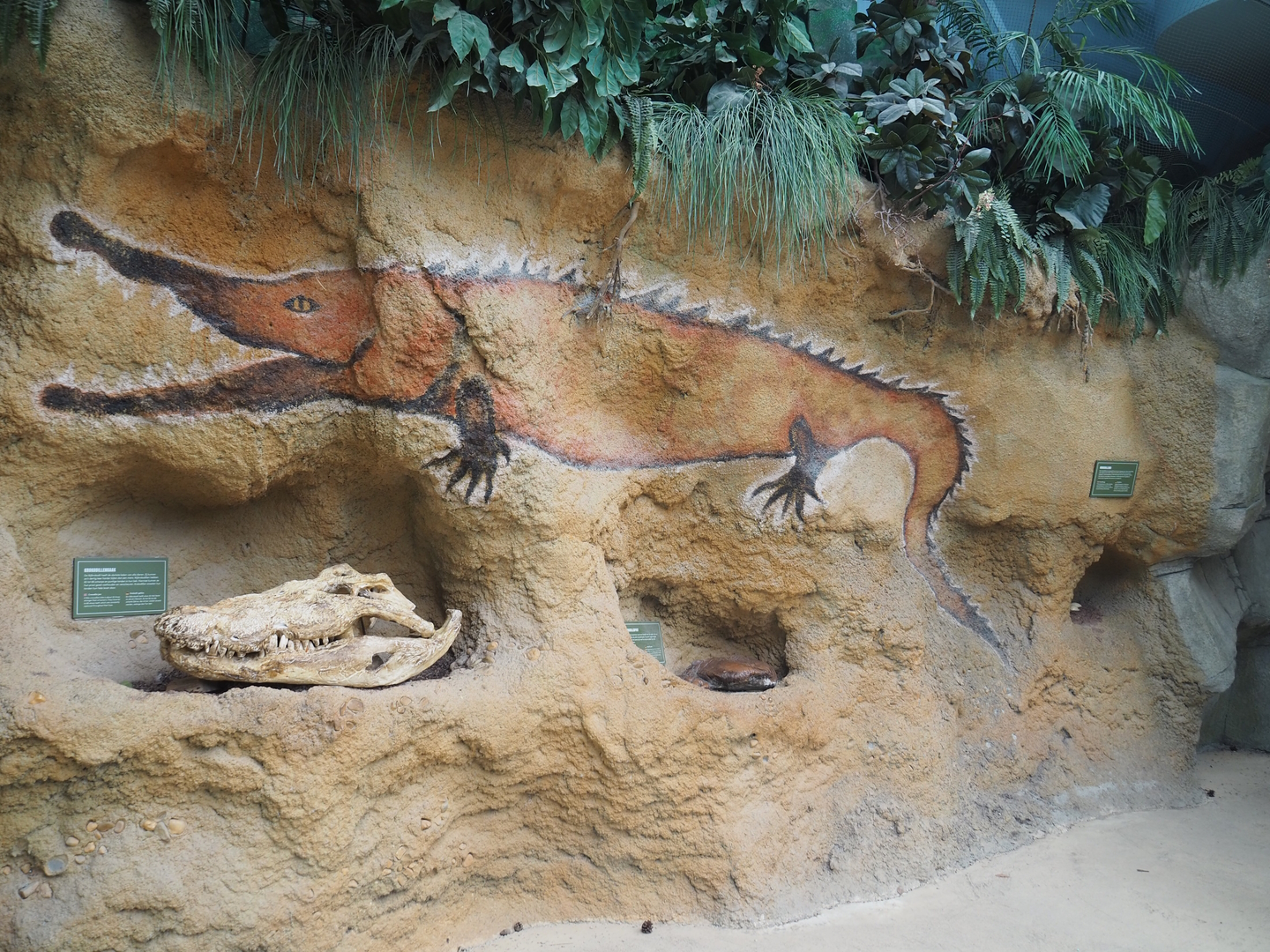 Nile crocodile education wall, 2022-06-12
