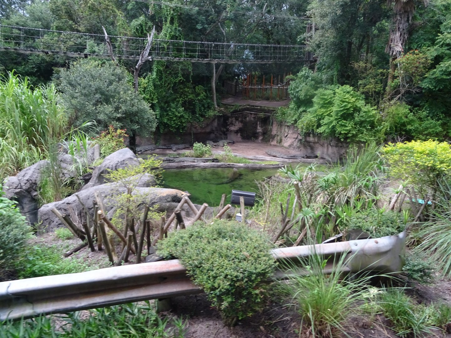 Nile Crocodile Enclosure at Disney's Animal Kingdom (2014)