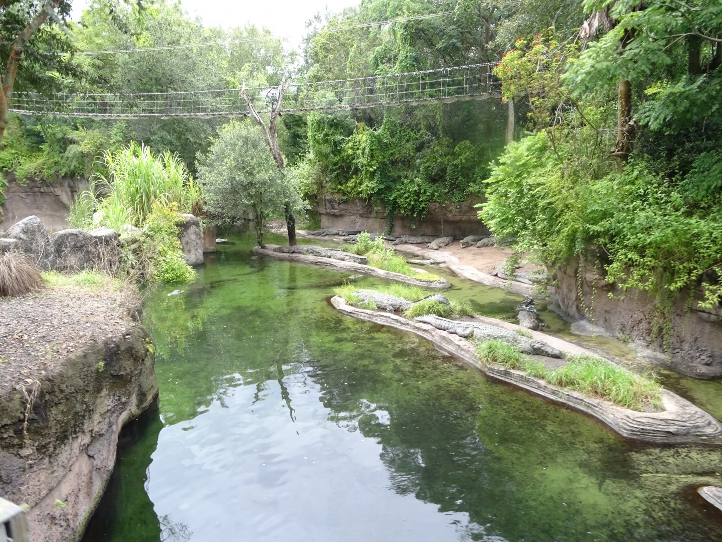 Nile Crocodile Enclosure at Disney's Animal Kingdom (2014)