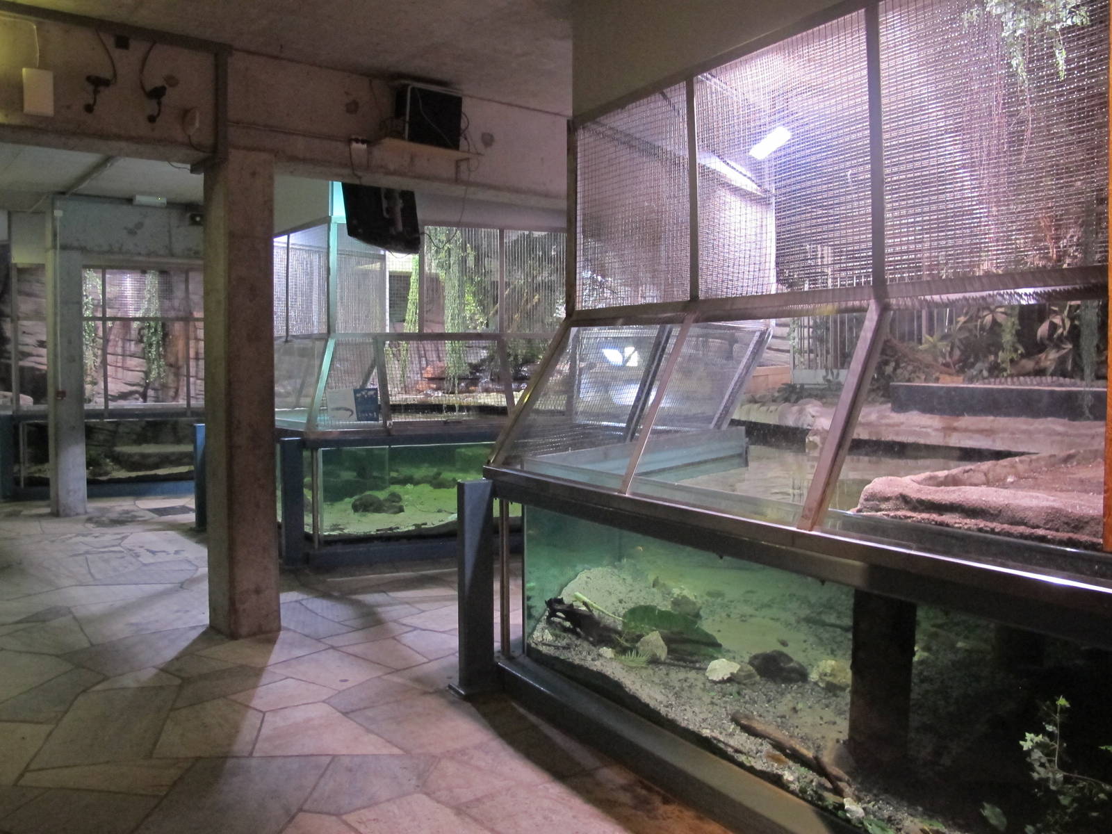 Nile Crocodile Enclosure - Bergen Akvariet 2012