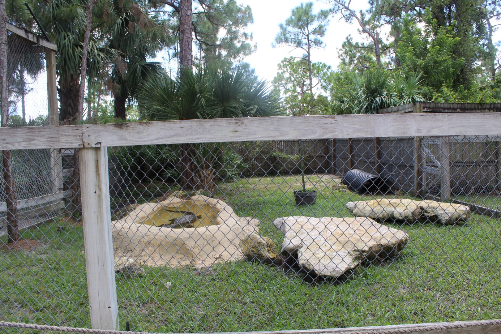 Nile Crocodile Enclosure - Mccarthy Wildlife Sanctuary