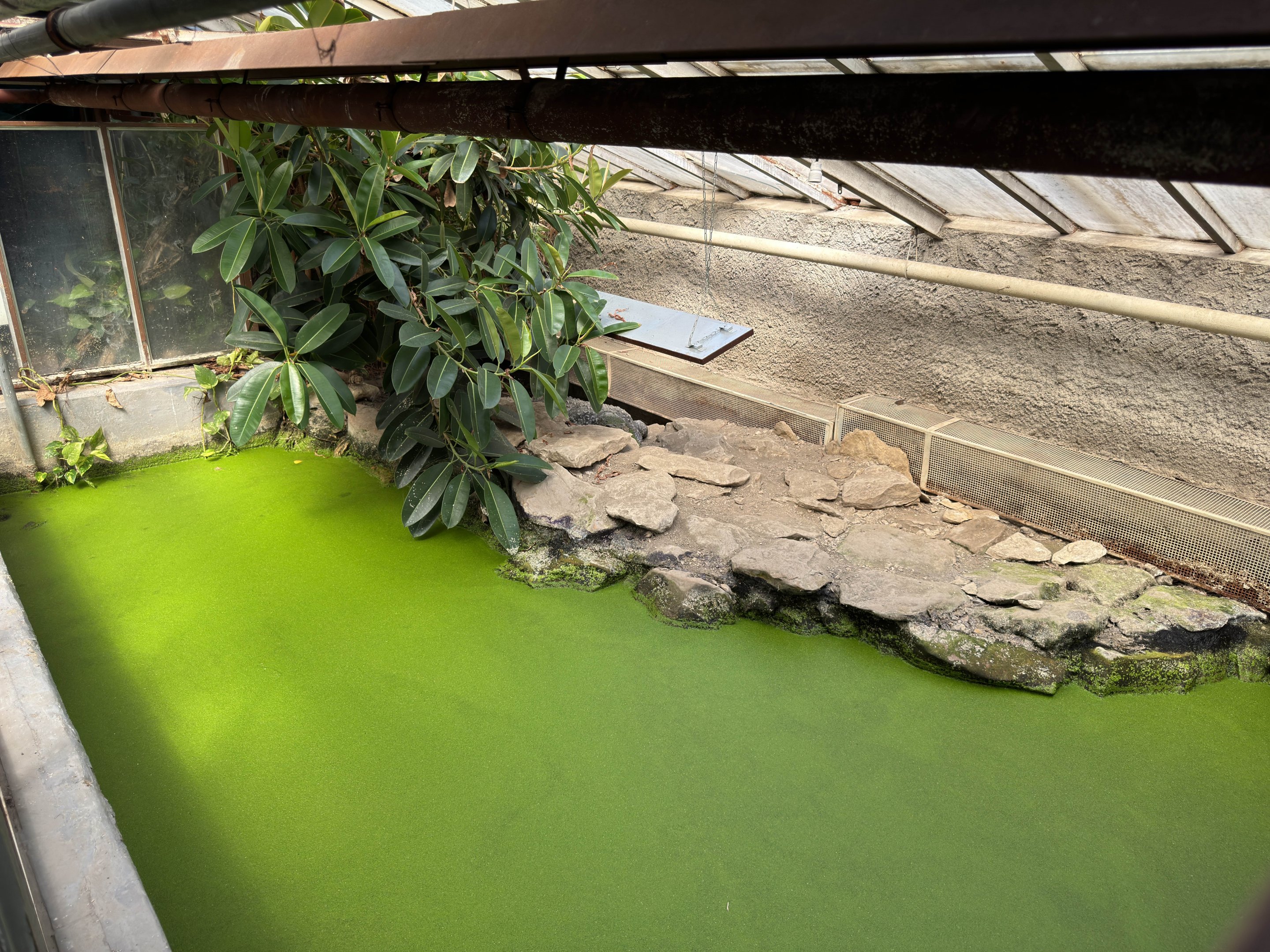 Nile crocodile enclosure - Stanice přírodovědců (Prague/Praha)