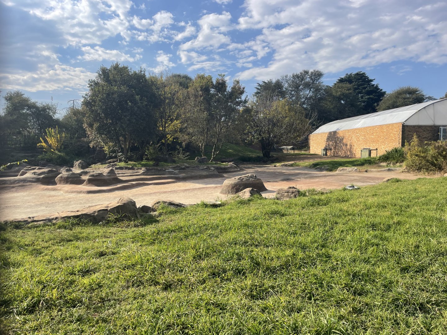 Nile Crocodile Enclosure, Under renovation (Crocodylus niloticus)