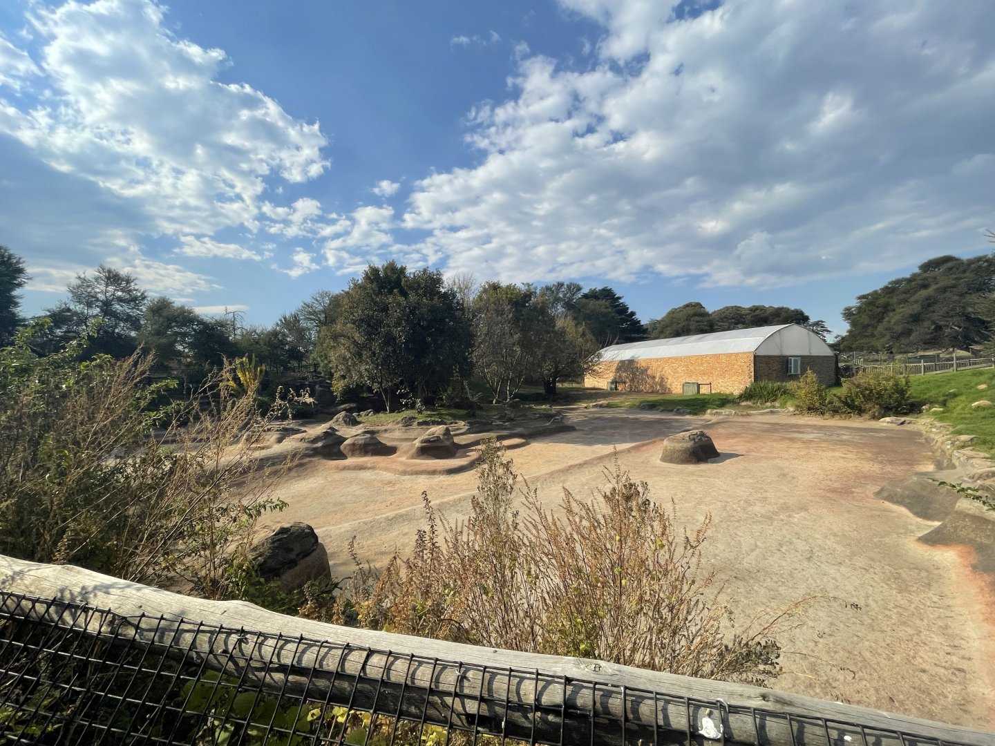 Nile Crocodile Enclosure, Under renovation (Crocodylus niloticus)