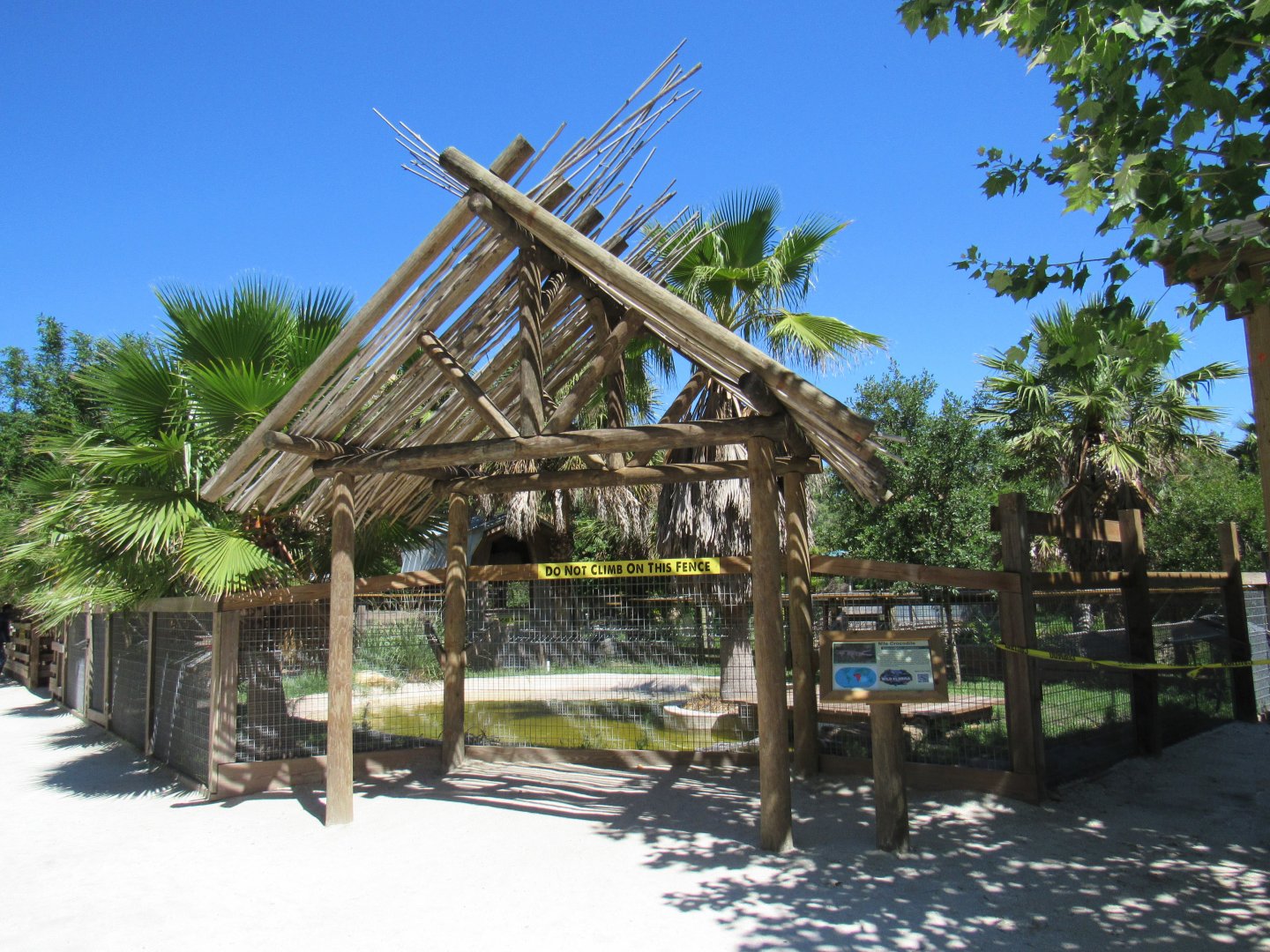 Nile Crocodile Enclosure - Wild Florida