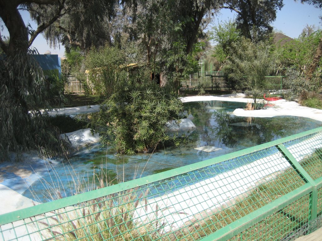 Nile Crocodile enclosure