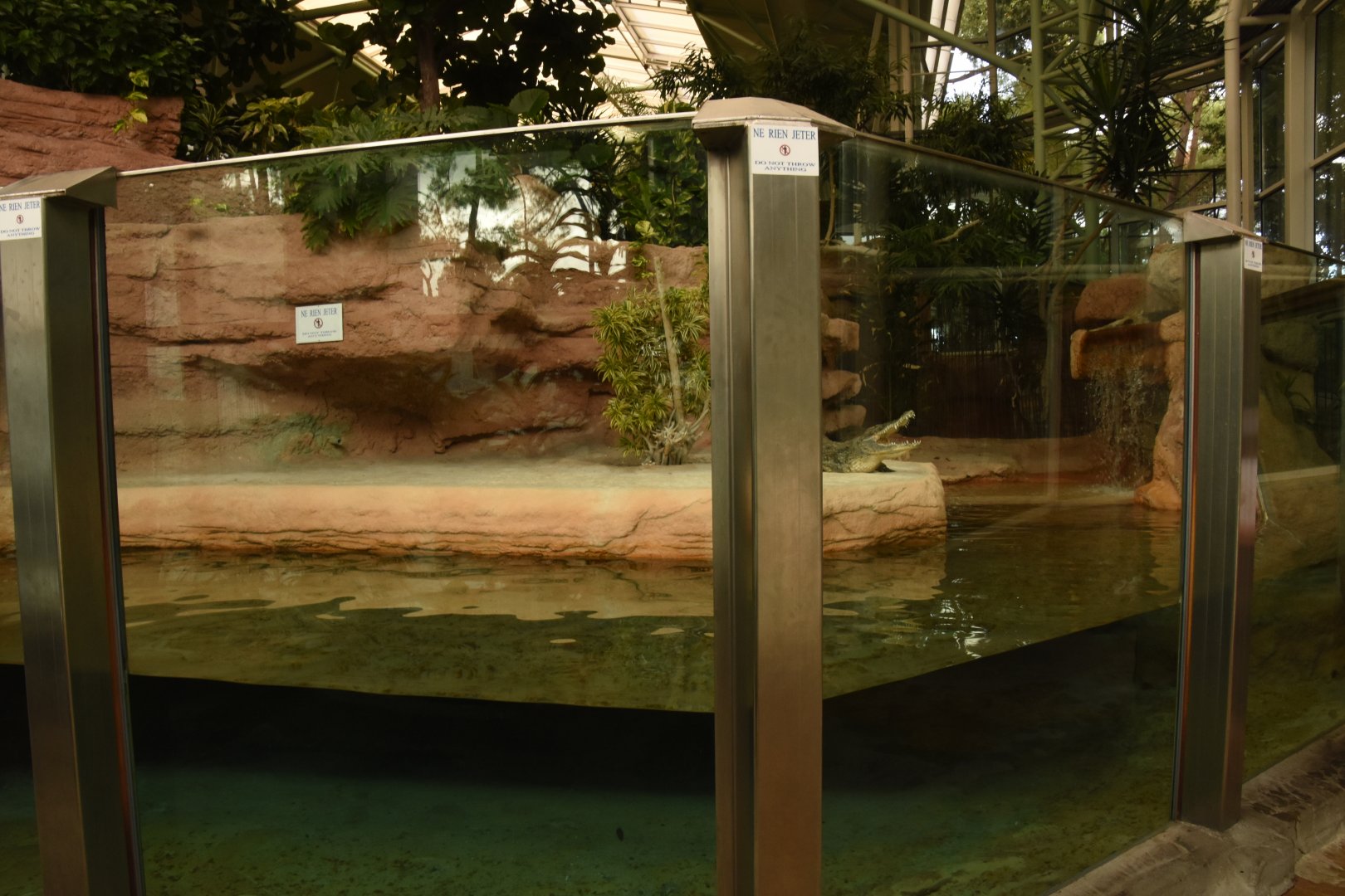 Nile crocodile enclosure