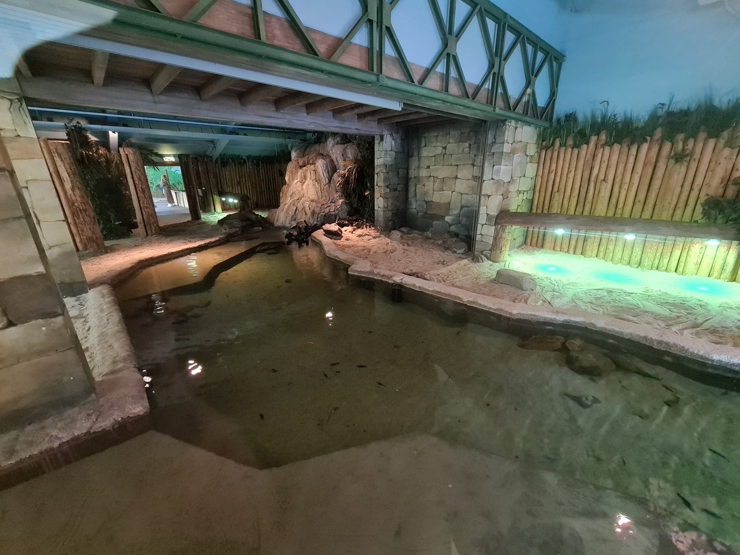 Nile crocodile enclosure