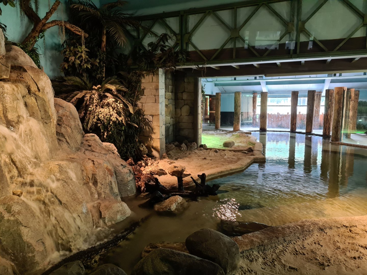 Nile crocodile enclosure