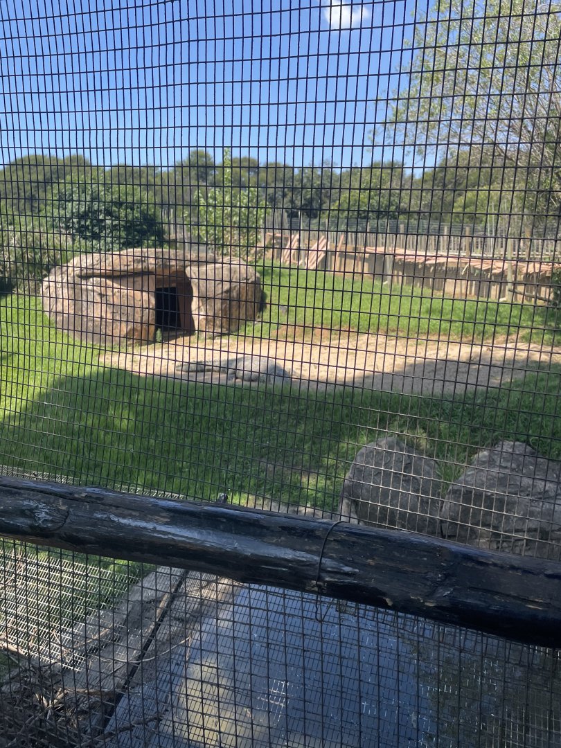 Nile Crocodile Exhibit #1