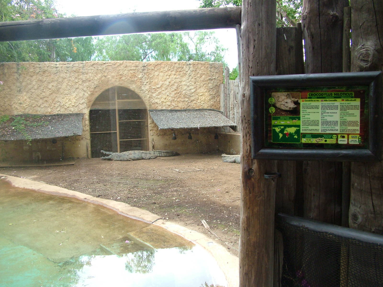 Nile Crocodile Exhibit at Jungle Park (Las Aguilas), 13/11/10