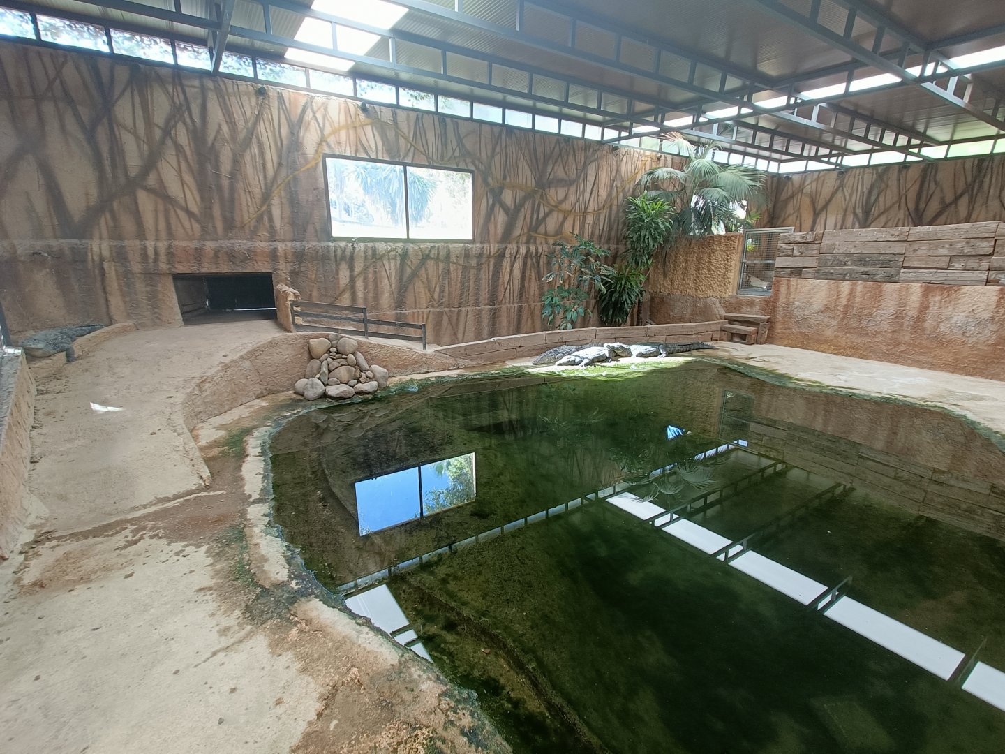 Nile crocodile exhibit - Crocodile park Torremolinos