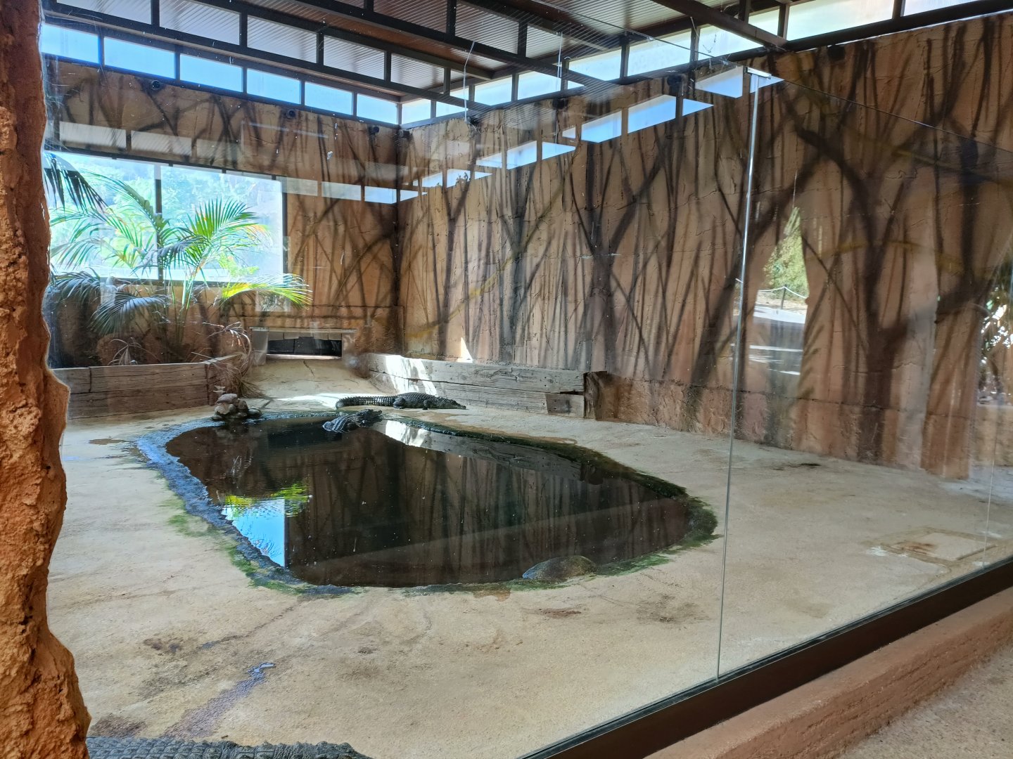 Nile crocodile exhibit - Crocodile park Torremolinos
