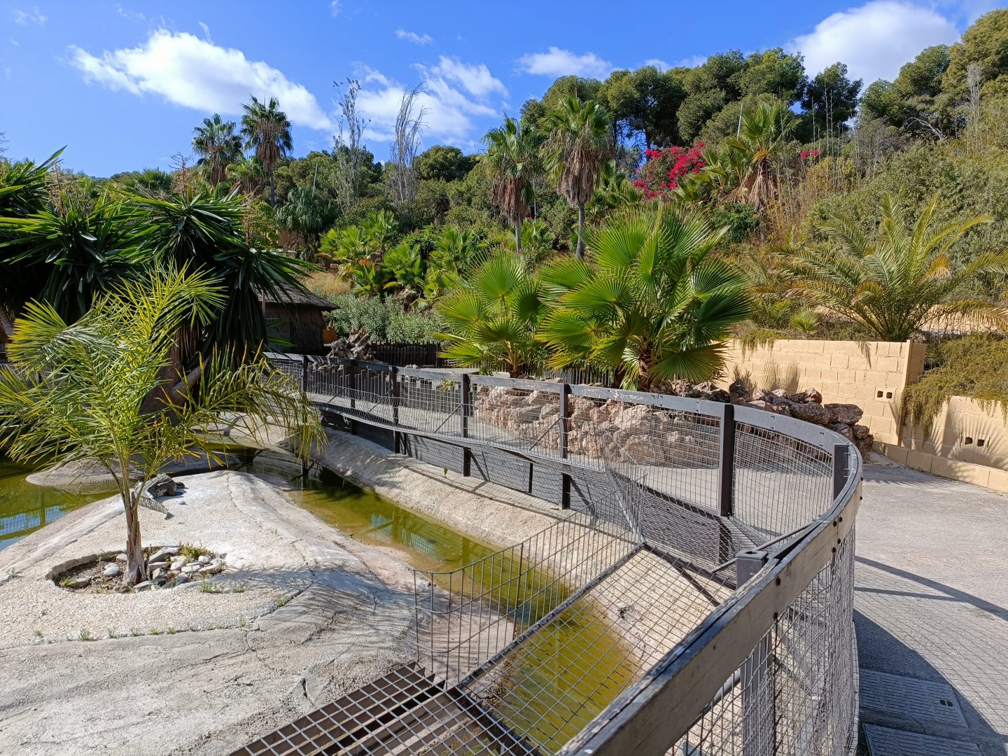 Nile crocodile exhibit - Crocodile park Torremolinos