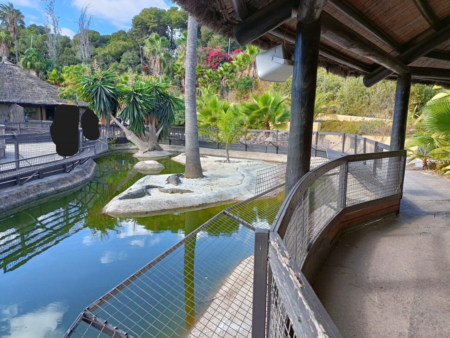 Nile crocodile exhibit - Crocodile park Torremolinos